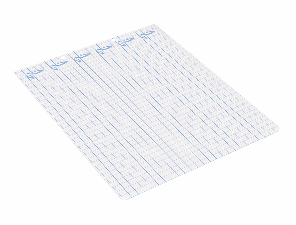 RECAMBIO LIDERPAPEL CUARTO APAISADO PAUTAGUIA 100 HOJAS 75 G CUADRICULADO PAUTADO 6MM CON MARGEN 2 TALADROS
